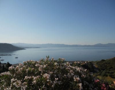 Terrasse sur le Golfe de Sagone – Corse