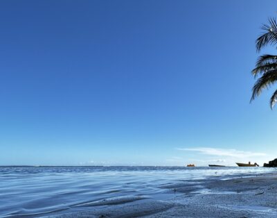 Be On The Beach – WIND